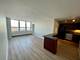 655 W Irving Park Unit 3006, Chicago, IL 60613