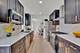 1207 Park Ridge, Park Ridge, IL 60068