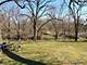 18847 Ruth, Mokena, IL 60448