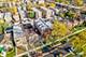 6223 N Albany Unit C, Chicago, IL 60659