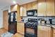 4915 W Gunnison Unit D, Chicago, IL 60630