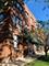 3946 N Lowell Unit 107, Chicago, IL 60641