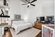 1934 N Washtenaw Unit 217, Chicago, IL 60647