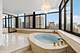 1 E Schiller Unit PHW23, Chicago, IL 60610