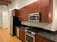 2303 S Michigan Unit 205, Chicago, IL 60616