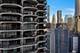 300 N State Unit 4307, Chicago, IL 60654