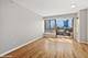 1717 S Prairie Unit 1008, Chicago, IL 60616