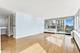 88 W Schiller Unit 601, Chicago, IL 60610