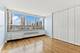 88 W Schiller Unit 601, Chicago, IL 60610