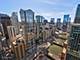 300 N State Unit 5801, Chicago, IL 60654