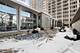 4250 N Marine Unit 1501, Chicago, IL 60613