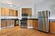 862 W Newport Unit 2, Chicago, IL 60657