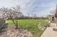 956 Acres, Des Plaines, IL 60016