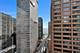 850 N Dewitt Unit 17A, Chicago, IL 60611