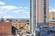 70 W Burton Unit 1003, Chicago, IL 60610