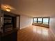 4180 N Marine Unit 1207, Chicago, IL 60613