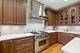 466 Pennsylvania Unit E, Glen Ellyn, IL 60137