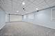 2222 Larkdale, Glenview, IL 60025