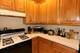 844 W Buckingham Unit G, Chicago, IL 60657