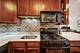 3900 N Pine Grove Unit 811, Chicago, IL 60613