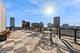 3900 N Pine Grove Unit 811, Chicago, IL 60613