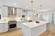 708 Florence, Park Ridge, IL 60068