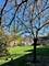 105 Armstrong Unit E, Buffalo Grove, IL 60089