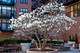 333 W Hubbard Unit 203, Chicago, IL 60654
