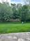 1523 Glacier Trail, Carpentersville, IL 60110