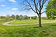 1338 S Lorraine Unit D, Wheaton, IL 60189