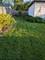19605 Redwood, Mokena, IL 60448