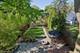 2221 Grant, Evanston, IL 60201