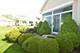1584 Saugatuk, Romeoville, IL 60446