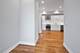 1339 N Noble Unit 3, Chicago, IL 60642