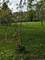 35W252 Country School, Dundee, IL 60118