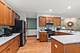 20318 Fallingwater, Frankfort, IL 60423