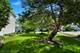 20952 S Olive, Plainfield, IL 60544