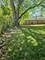 1265 Prince, South Holland, IL 60473