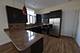 2024 N California Unit 4E, Chicago, IL 60647