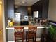 3930 N Pine Grove Unit 2602, Chicago, IL 60613
