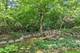 1245 W Summerfield, Lake Forest, IL 60045