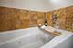 3935 S Wells Unit 1, Chicago, IL 60609