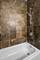 3935 S Wells Unit 1, Chicago, IL 60609