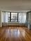 222 E Pearson Unit 1909, Chicago, IL 60611