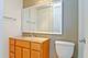 1555 N Astor Unit 17SE, Chicago, IL 60610