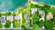 13715 S Lake, Plainfield, IL 60544