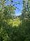 688 Spruce, Prospect Heights, IL 60070