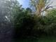 41876 N Circle, Antioch, IL 60002