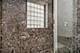 7640 N Greenview Unit 3S, Chicago, IL 60626