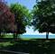 7640 N Greenview Unit 3S, Chicago, IL 60626
